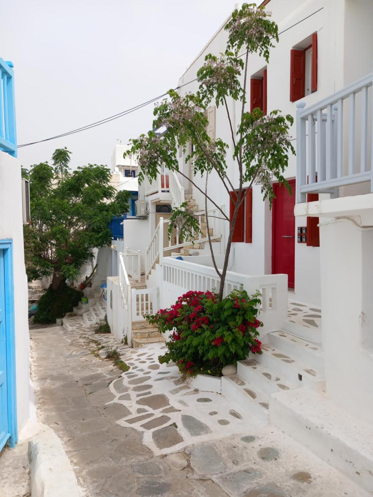 Alex Oldtown Sea View Rooms And Appartments Mykonos Town Exterior foto