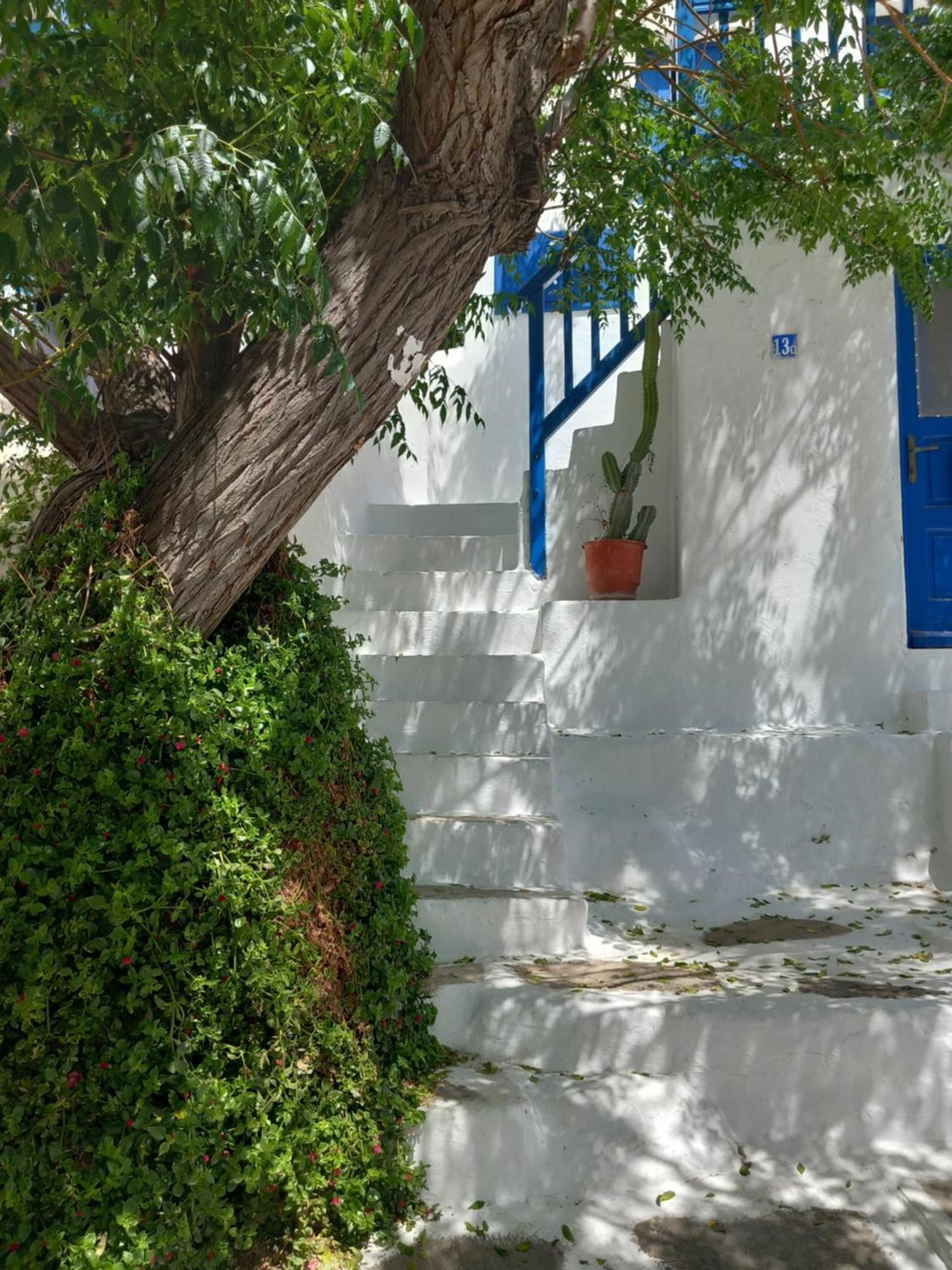 Alex Oldtown Sea View Rooms And Appartments Mykonos Town Quarto foto